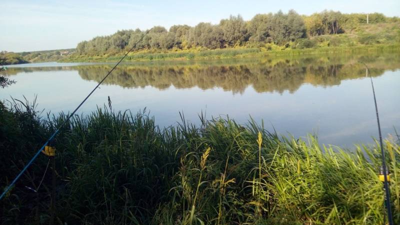 Фотоотчет с рыбалки. Место: Воронежская область