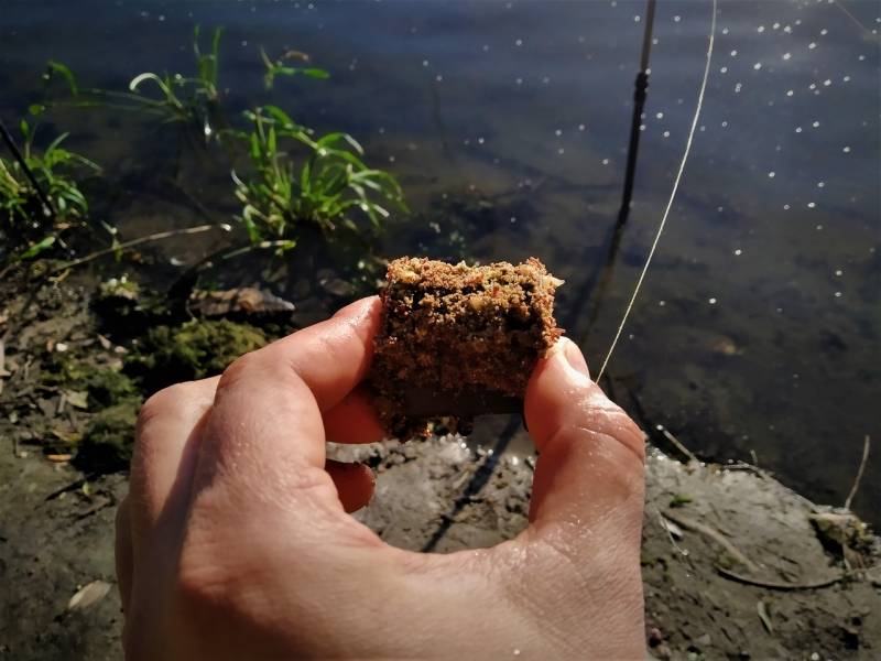 Фотоотчет с рыбалки. Место: Воронежская область