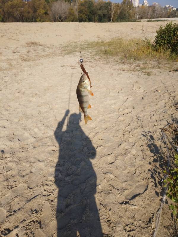 Фотоотчет с рыбалки. Место: Воронежское водохранилище
