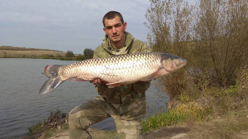 Фотоотчет по рыбе: Амур Белый. Место рыбалки: Россия