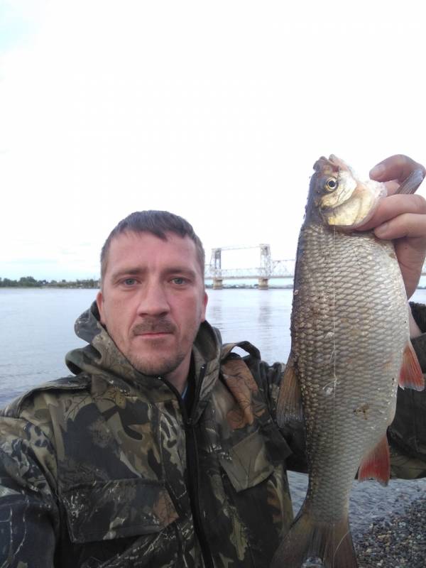 Фотоотчет по рыбе: Язь. Место рыбалки: Архангельская область