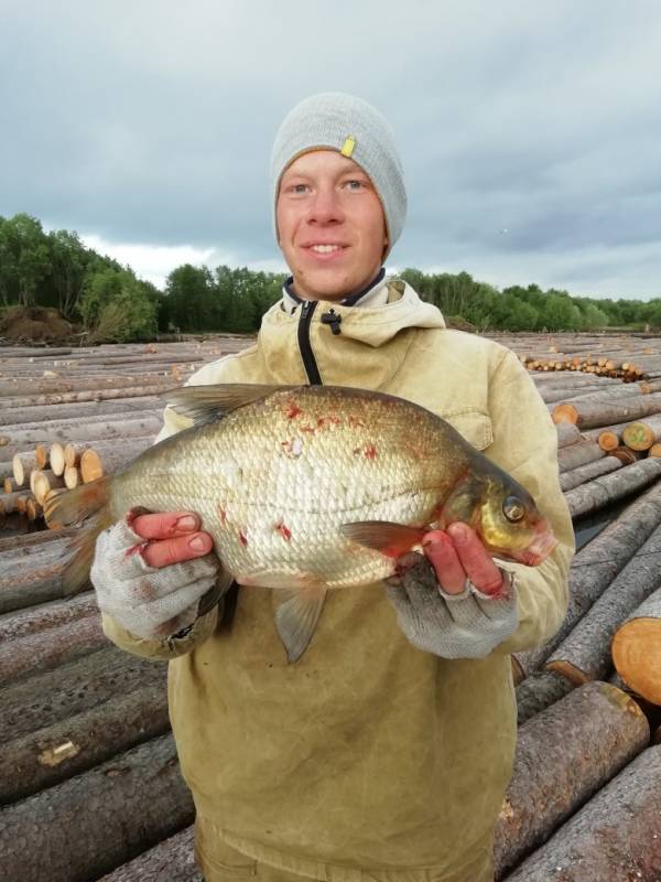 Фотоотчет по рыбе: Лещ. Место рыбалки: Архангельская область