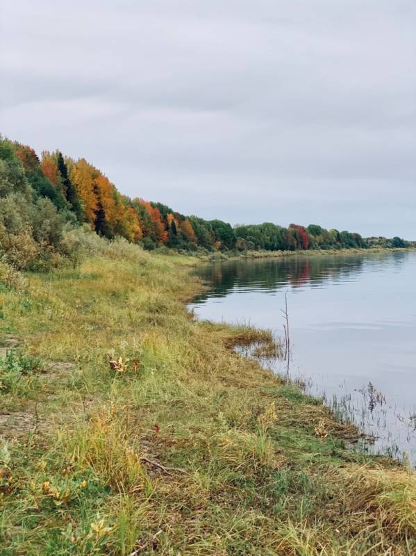 Фотоотчет с рыбалки. Место: Холмогорский район