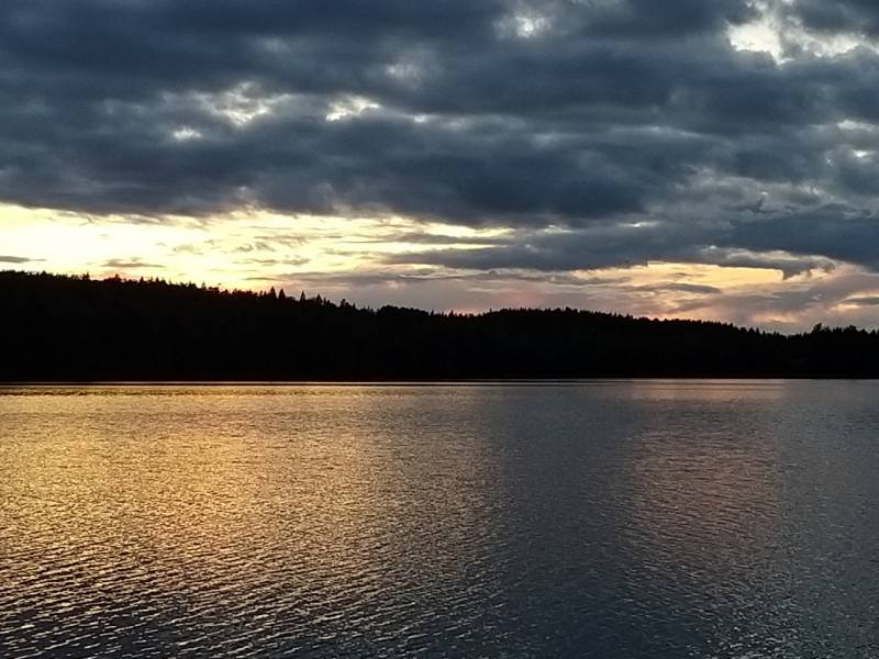 Фотоотчет с рыбалки. Место: Санкт-Петербург