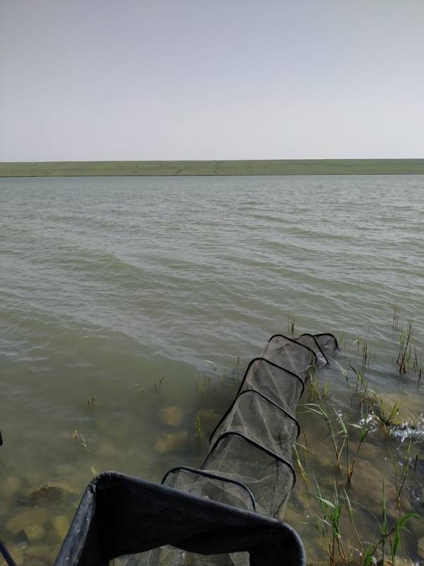 Фотоотчет с рыбалки. Место: Ставропольский край