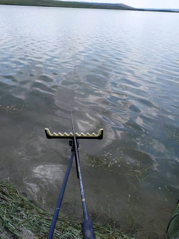 Фотоотчет с рыбалки. Место: Егорлыкское водохранилище
