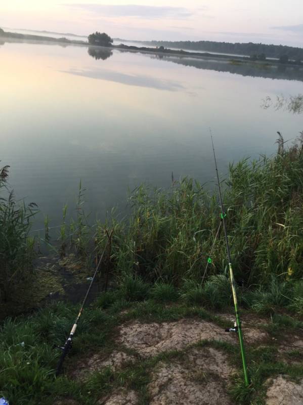 Фотоотчет с рыбалки. Место: озеро Ильмень (Новгородская обл.)