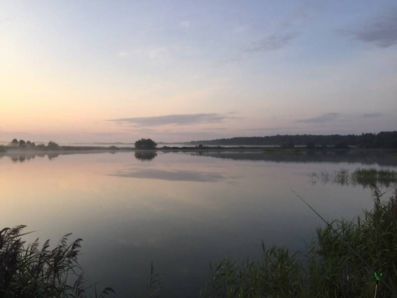 Фотоотчет с рыбалки. Место: Новгородская область