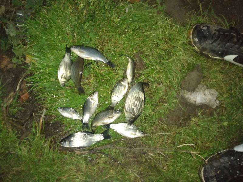 Фотоотчет по рыбе: Карась, Лещ. Место рыбалки: Республика Чувашия