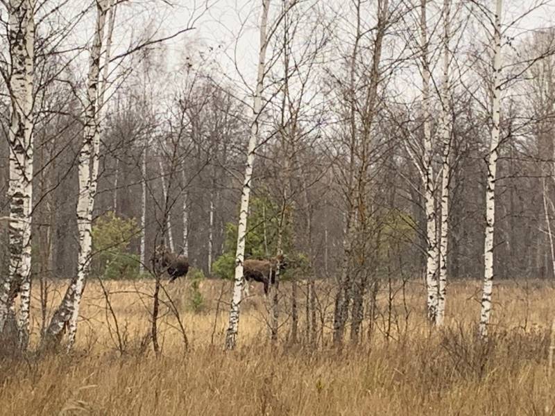 Фотоотчет с рыбалки. Место: Рязанская область