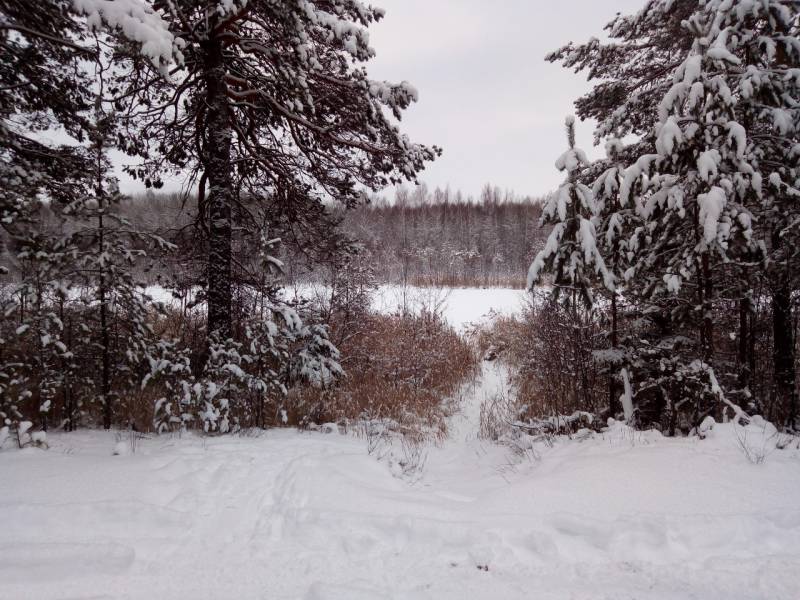 Фотоотчет с рыбалки. Место: Пермь