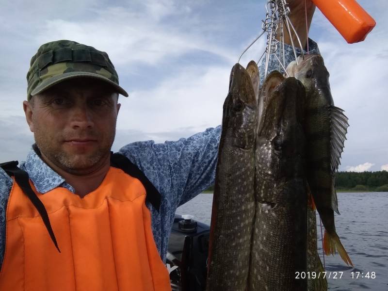 Фотоотчет по рыбе: Щука, Окунь. Место рыбалки: Воткинское водохранилище