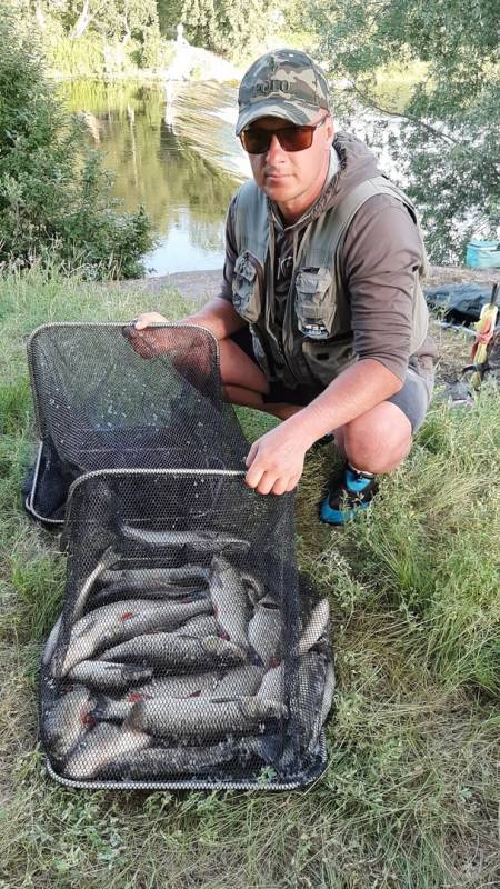 Фотоотчет по рыбе: Щука, Голавль, Окунь, Судак. Место рыбалки: Калининградская область