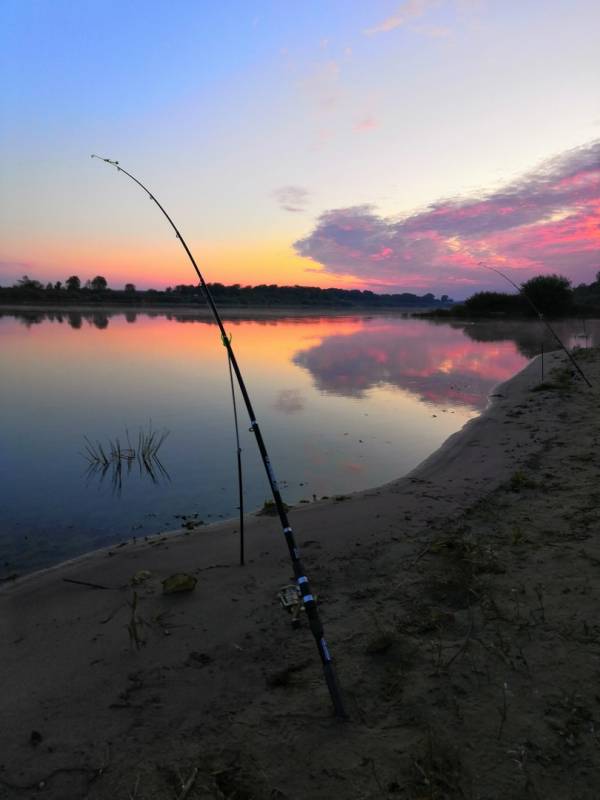 Фотоотчет с рыбалки. Место: Калининградская область