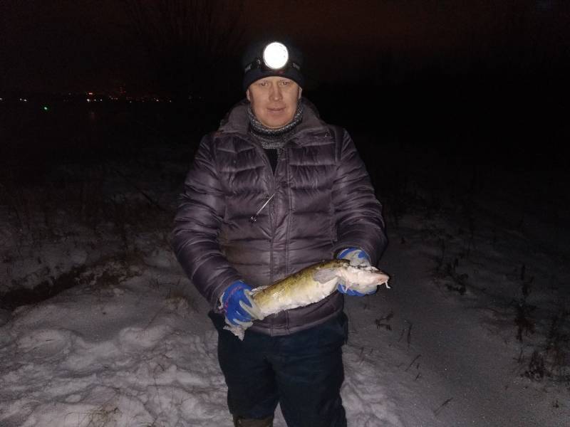 Фотоотчет по рыбе: Налим. Место рыбалки: Пермь (Пермский край)