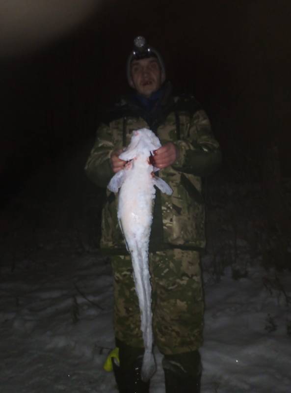 Фотоотчет по рыбе: Налим. Место рыбалки: Пермь (Пермский край)
