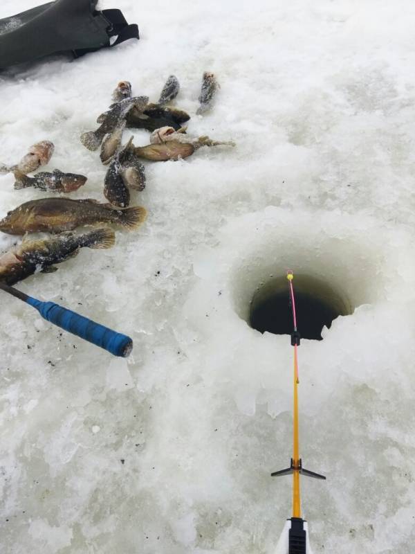 Фотоотчет с рыбалки. Место: Новосибирское водохранилище