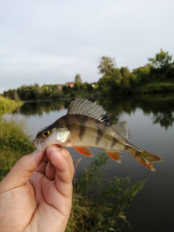 Фотоотчет с рыбалки. Место: Воткинск