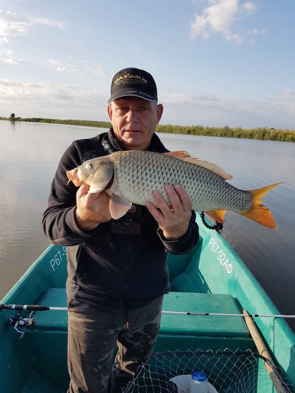 Фотоотчет по рыбе: Сазан. Место рыбалки: Астраханская область