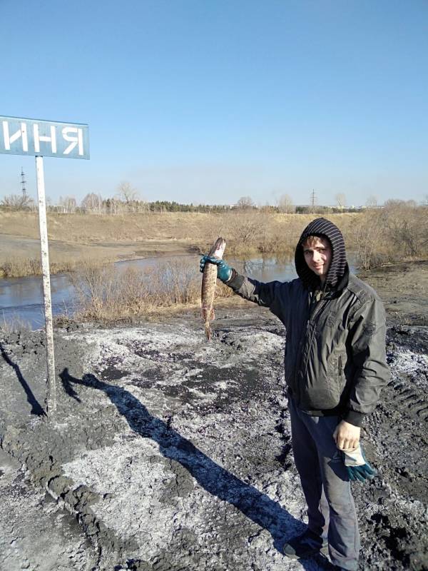 Фотоотчет по рыбе: Налим. Место рыбалки: Кемеровская область