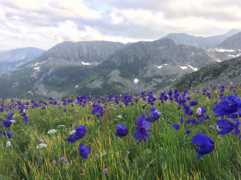 Фотоотчет с рыбалки. Место: Республика Хакасия