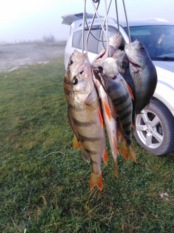 Фотоотчет с рыбалки. Место: Кемеровская область