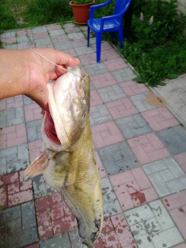 Фотоотчет с рыбалки. Место: Куйбышевское водохранилище