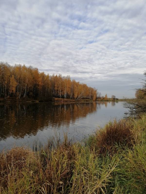 Фотоотчет с рыбалки. Место: Балашиха