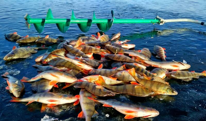 Фотоотчет с рыбалки. Место: Верхнеуральское вдхр (Магнитогорск)
