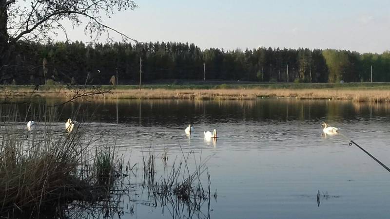 Фотоотчет с рыбалки. Место: Республика Башкортостан