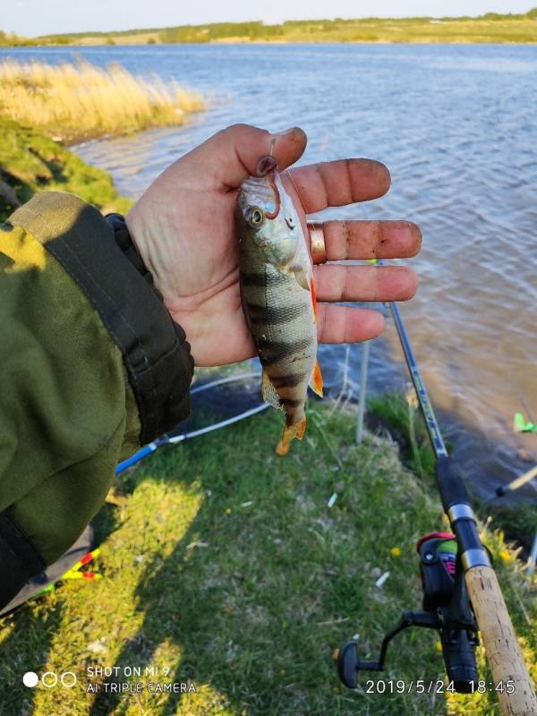 Фотоотчет с рыбалки. Место: Барнаул (Алтайский край)