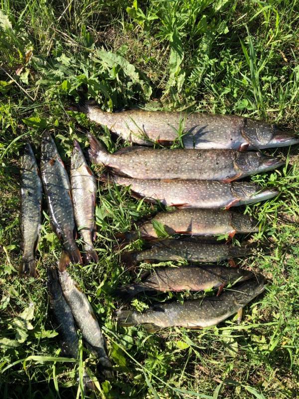 Фотоотчет с рыбалки. Место: Новопольский пруд