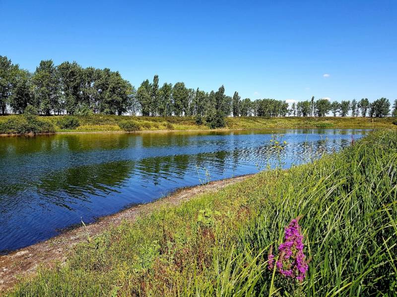 Фотоотчет с рыбалки. Место: Воронеж