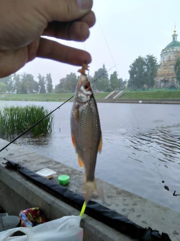 Фотоотчет с рыбалки. Место: Мценск (Орловская обл.)