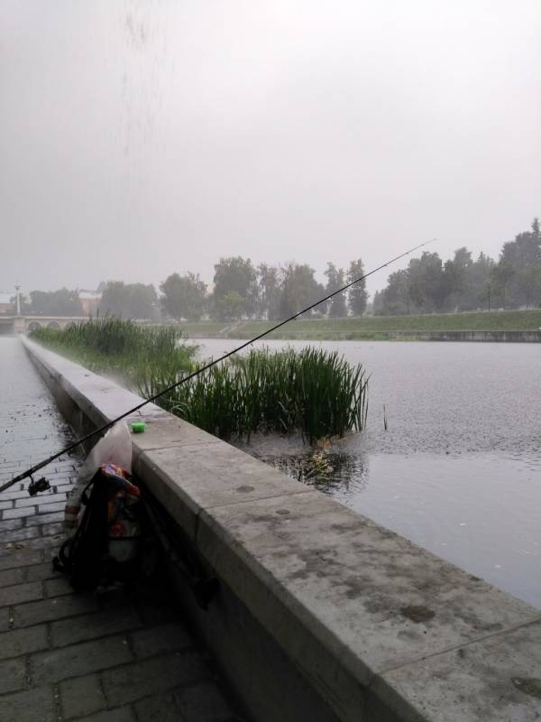 Фотоотчет с рыбалки. Место: Орловская область