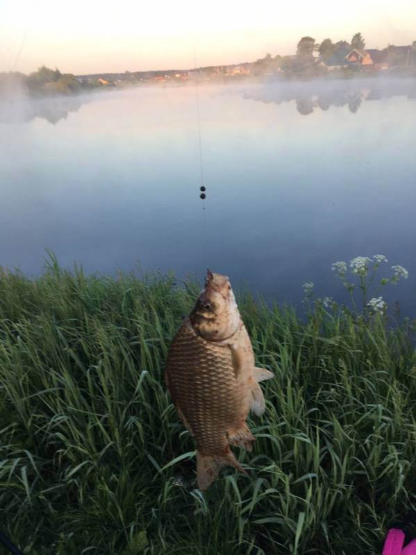 Фотоотчет с рыбалки. Место: Кировская область