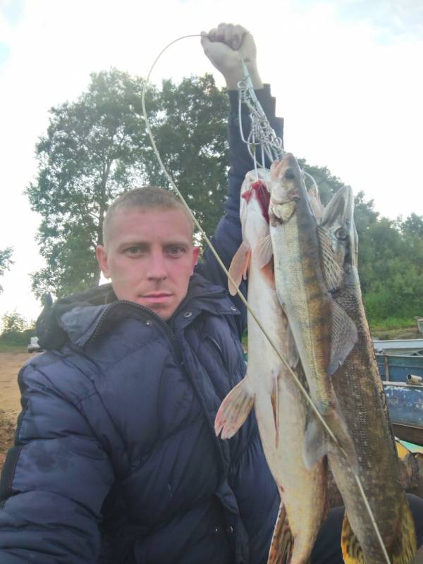 Фотоотчет по рыбе: Щука, Судак. Место рыбалки: Кировская область
