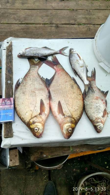 Фотоотчет с рыбалки. Место: Кировская область