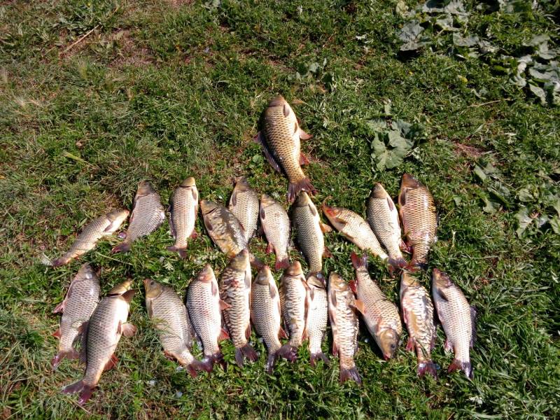 Фотоотчет с рыбалки. Место: Еткульский район