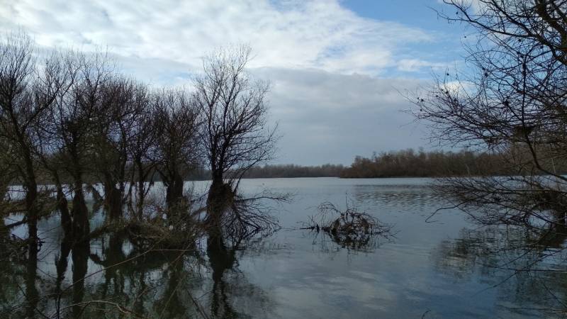 Фотоотчет с рыбалки. Место: Кореновск