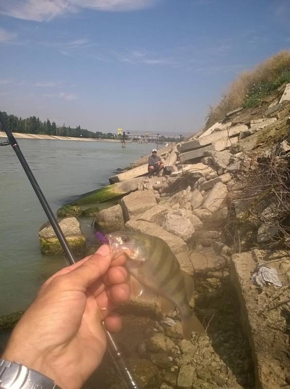 Фотоотчет с рыбалки. Место: Старая Кубань (озеро)