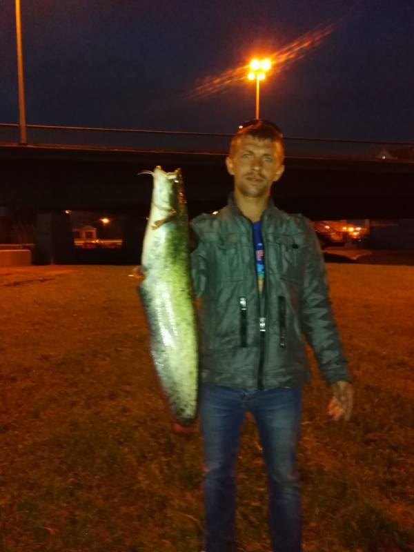 Фотоотчет по рыбе: Сом. Место рыбалки: Ленинградская область