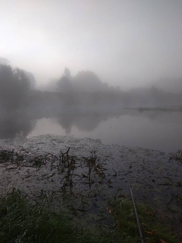 Фотоотчет с рыбалки. Место: Врево озеро (Ленинградская обл)