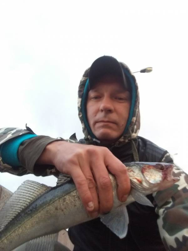 Фотоотчет по рыбе: Судак. Место рыбалки: Ленинградская область