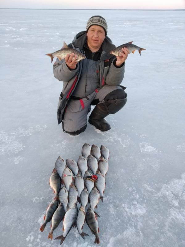 Фотоотчет по рыбе: Окунь, Плотва. Место рыбалки: Ивановская область