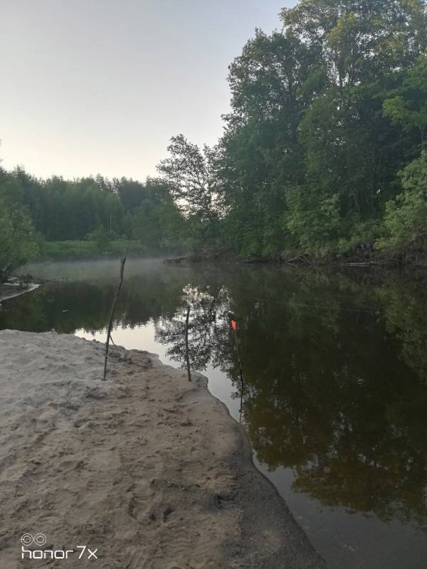 Фотоотчет с рыбалки. Место: Нижегородская область