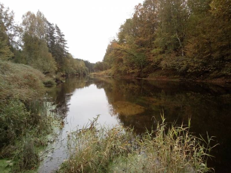 Фотоотчет с рыбалки. Место: Нижегородская область