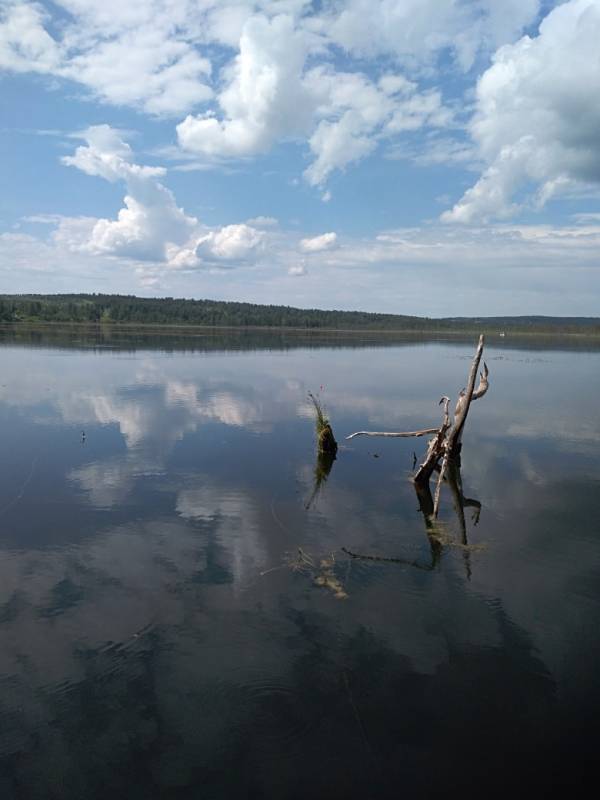 Фотоотчет рыбалки - Россия