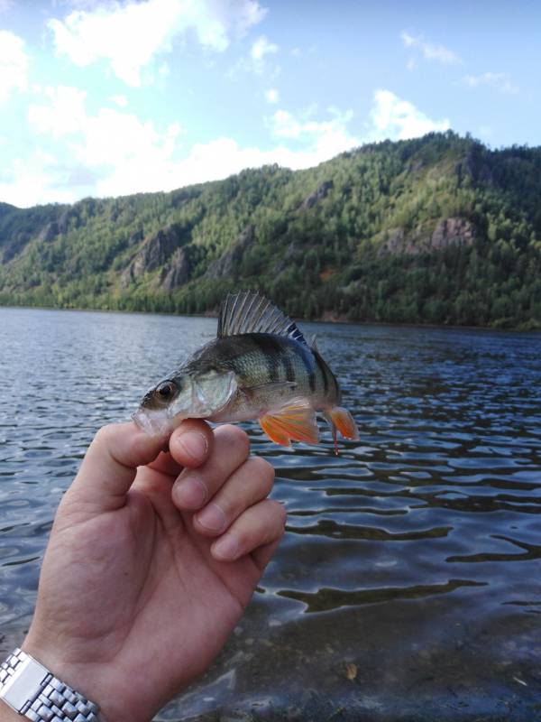 Фотоотчет с рыбалки. Место: Красноярский край