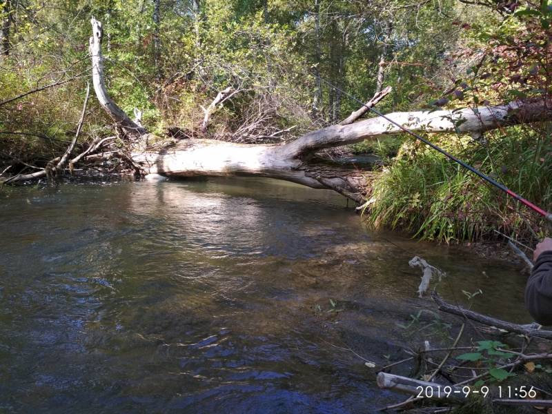 Фотоотчет с рыбалки. Место: Красноярское водохранилище